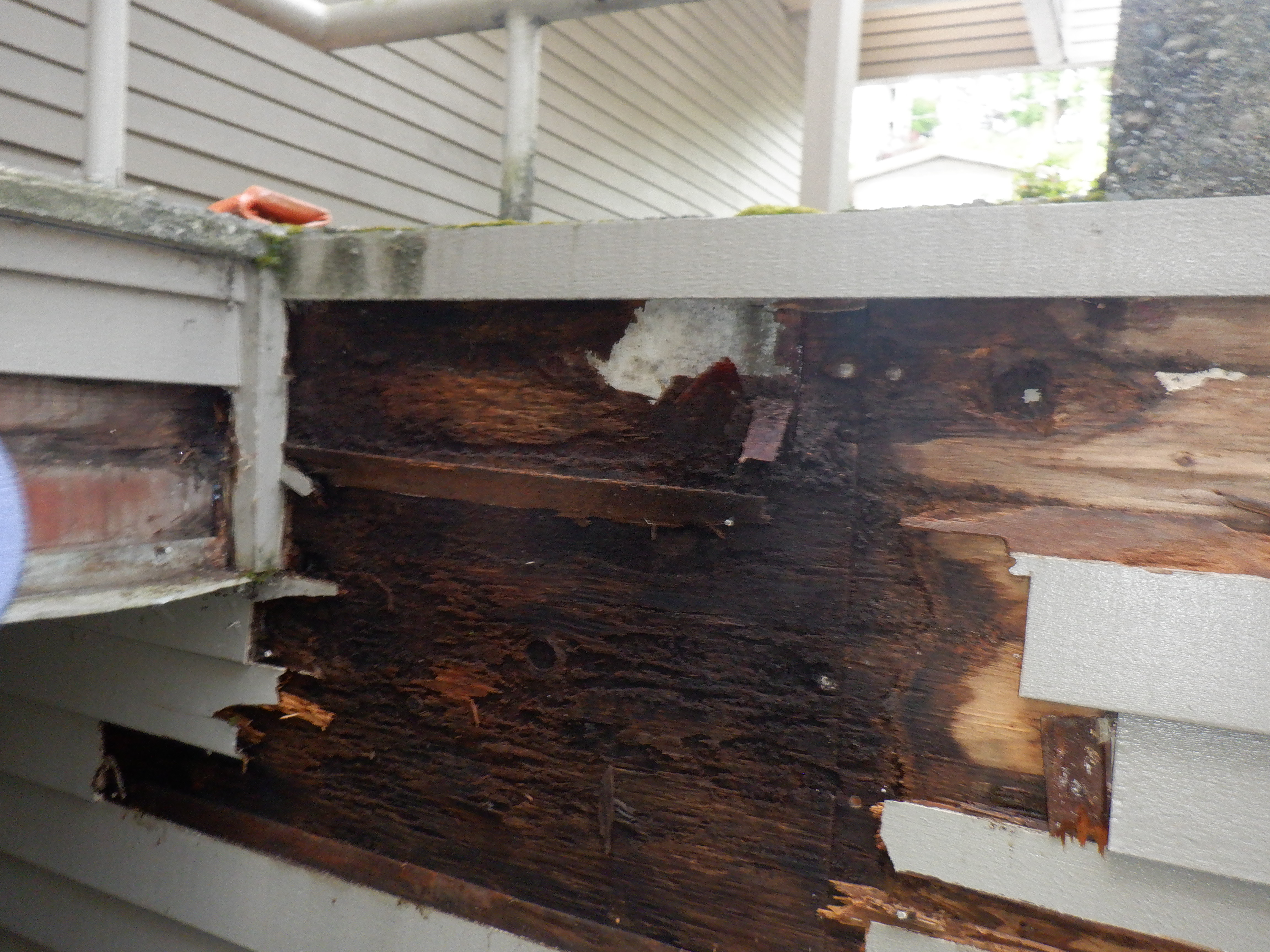 Staining Staining